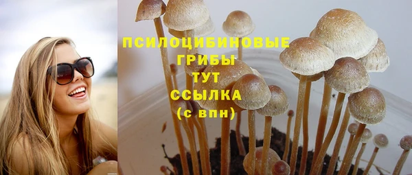 герыч Инта