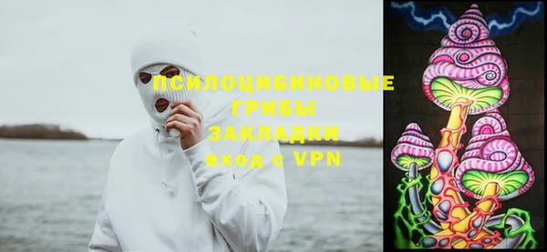 мдпв Иннополис